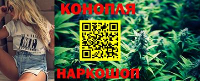 винт Гудермес