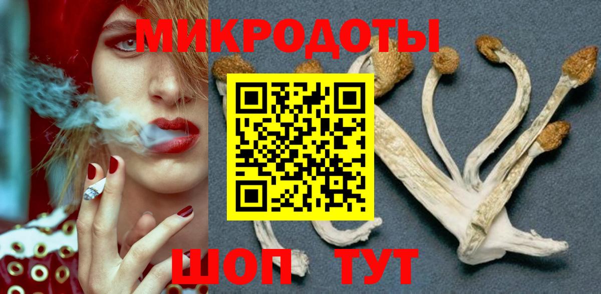 Галлюциногенные грибы GOLDEN TEACHER  Вход с VPN  Джанкой  Псилоцибиновые грибы Psilocybe 